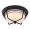 Westinghouse Fixture Ceiling Outdr FlMt 60W 2-Light Bonneville 12.75In WthrBrzStl Fr Glass 6230300 - alternate 1